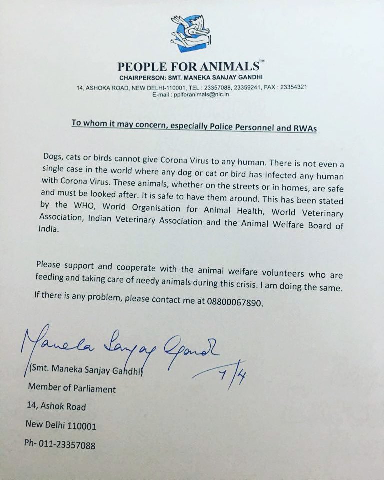 People For Animals India on Twitter: People For Animals India on Twitter: