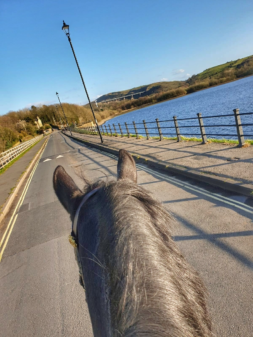 GMPHorses's tweet photo. This week we are continuing with policing #Manchester city centre as well as other parks and open spaces throughout the force area. Its been pleasing to see the numbers dropping and people staying in #stayhomesavelives #gmpmounted #covid19 https://t.co/HgFAlQLS85