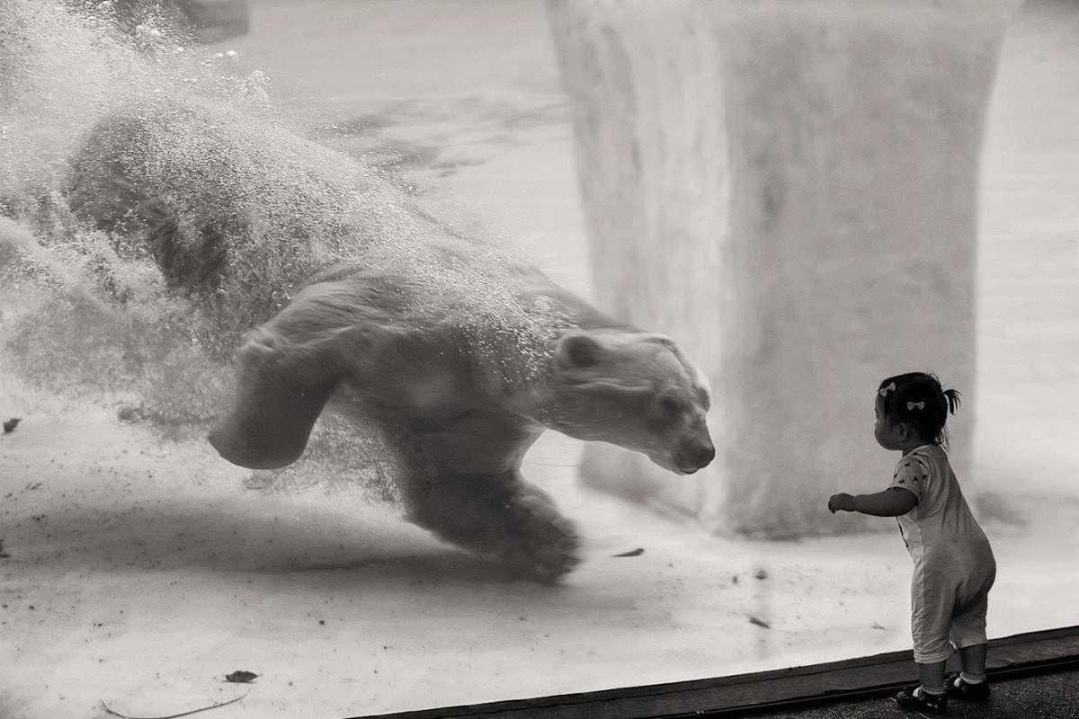 franch_laura's tweet photo. Cada vez que me topo con esta fotografía la comparto. Me parece una verdadera obra de arte. 

📷Alla Sokova https://t.co/BC55b0Wexb