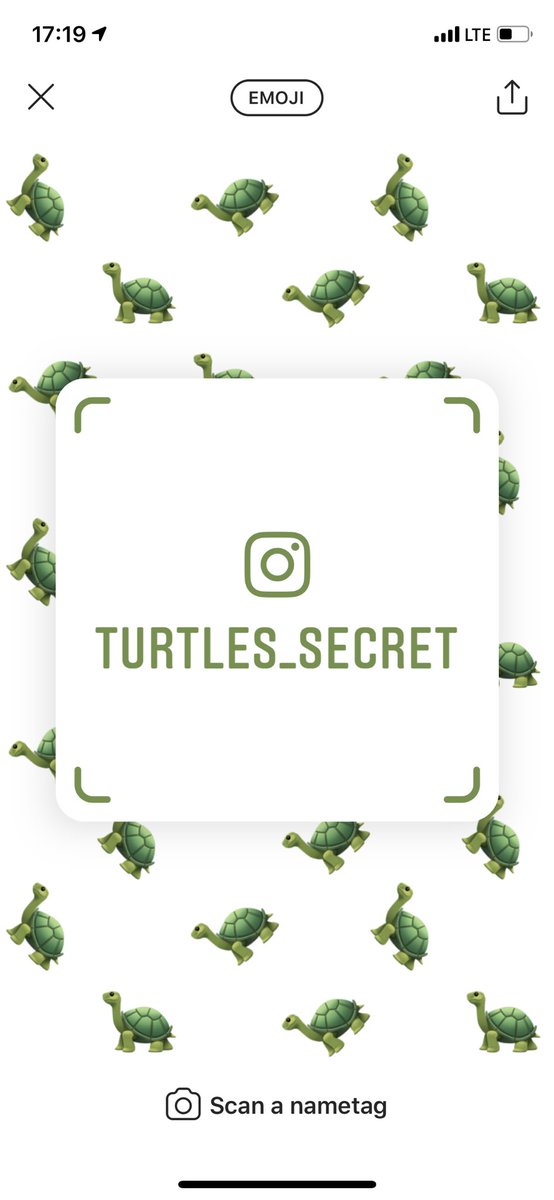 TurtleTurtle (@Turtles_Secret1) / Posts / X