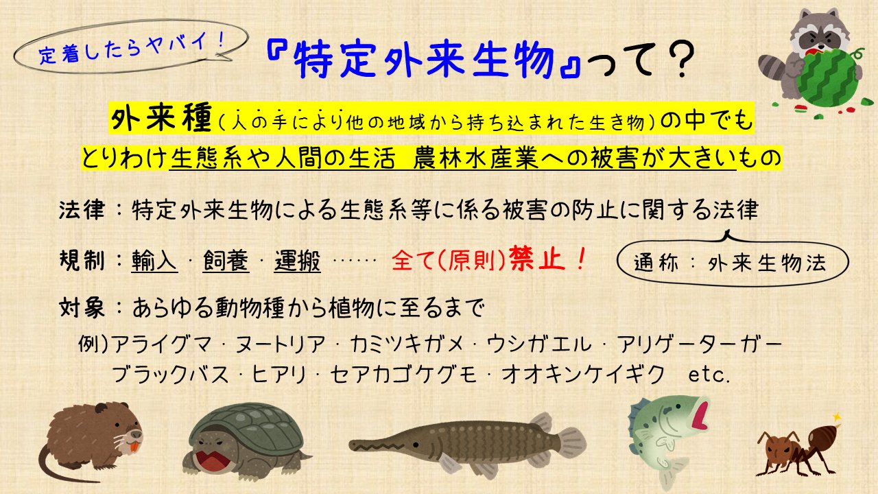 じゅういし松 作ってみた感想 いらすとやまじ便利 Twitter