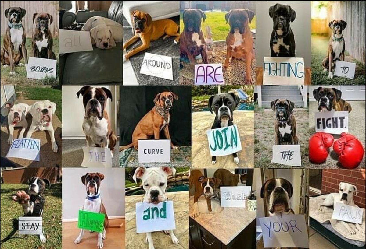 Carter Ferguson ⚔ 🏴 #FightDirector tweet media