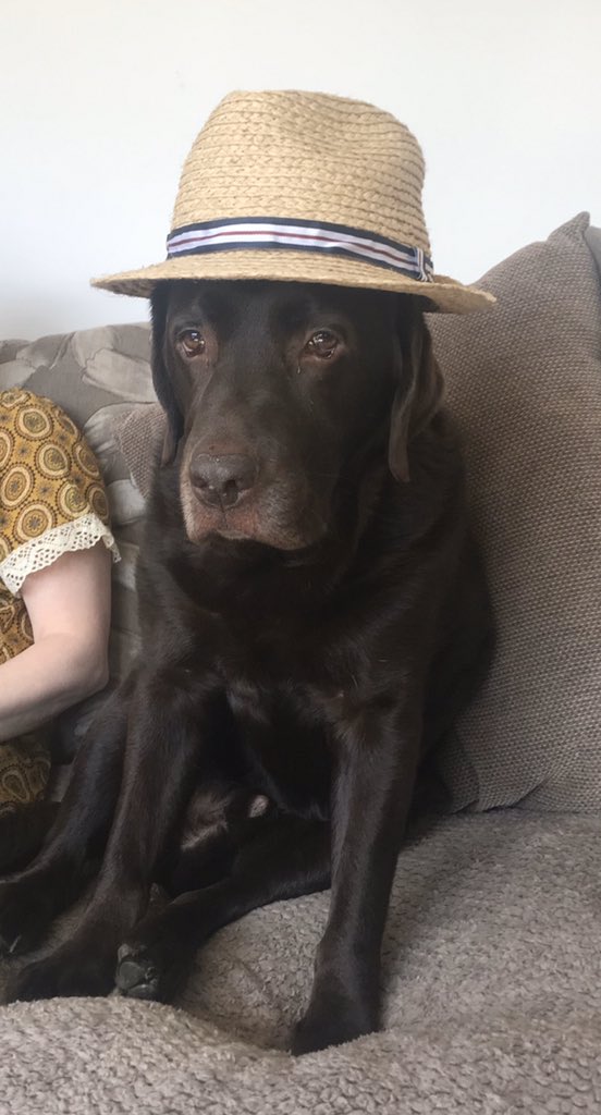 <a href="/jason_mraz/">Jason MMRRRaz</a>