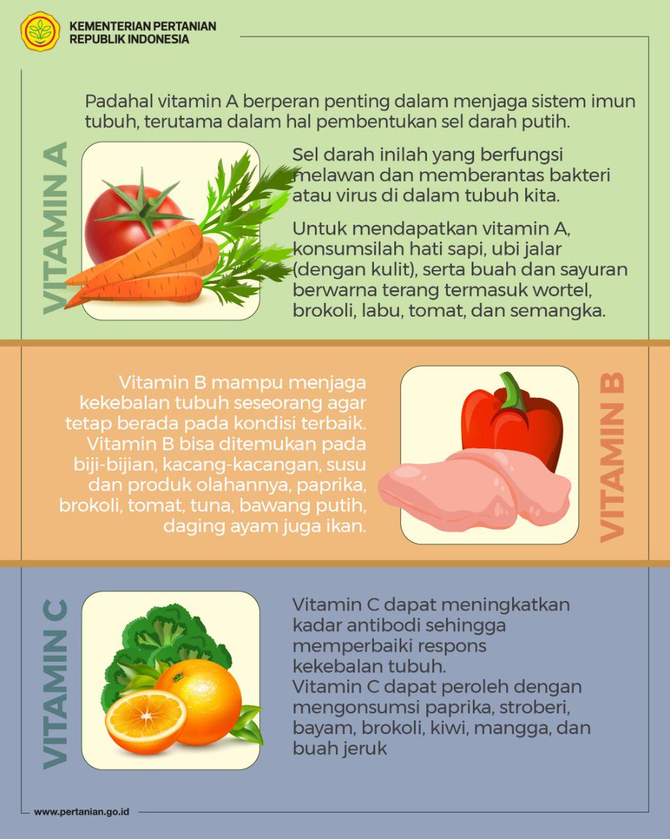 kementan's tweet photo. Selamat malam, Sob! Sebelum tidur, MinTani mau mengingatkan SobaTani untuk membuat menu makanan yang bergizi untuk #LawanCovid19 . 

Untuk menu bergizi, MinTani akan share bahan makanan yang sarat vitamin. Simak infonya yuk! 

#PanganUntukNegeri
#PertanianIndonesiaMaju https://t.co/X0xxMHDCdd
