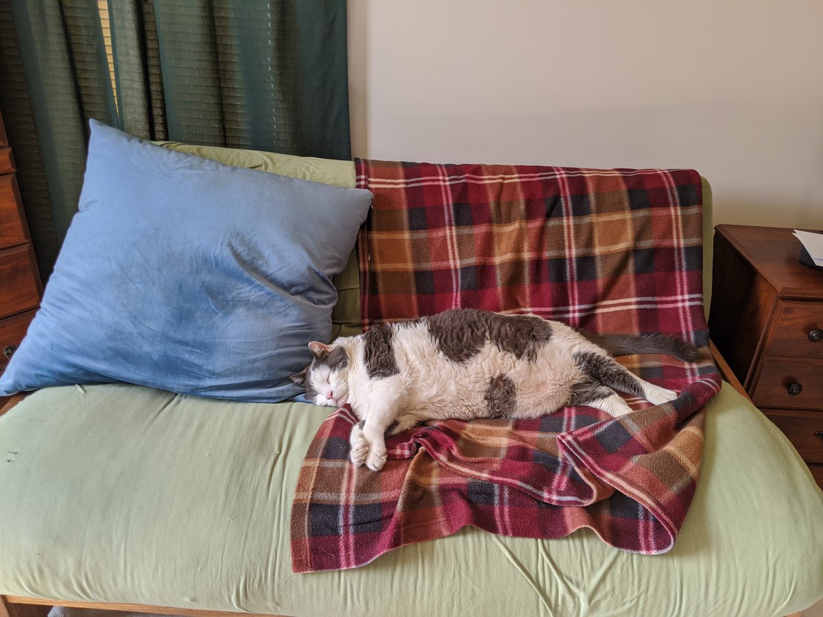 GHMoseley's tweet photo. Office cat is sleeping on the job. https://t.co/06zIHfsq8t
