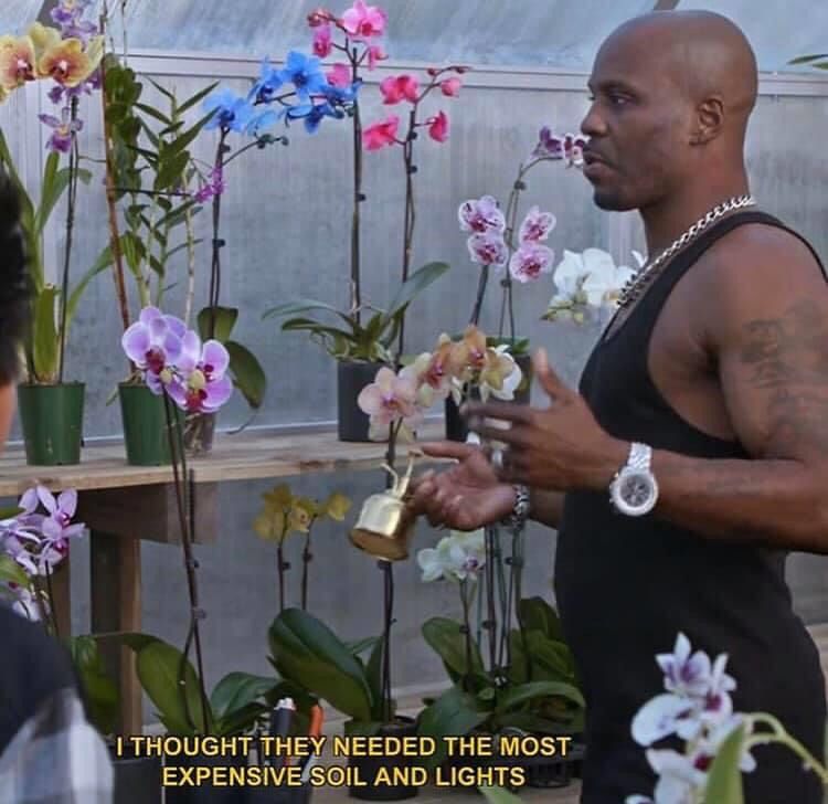 OnlyHipHopFacts's tweet photo. DMX caring for his orchids is just what we need in these troubling times. https://t.co/3uRkY6KnKO