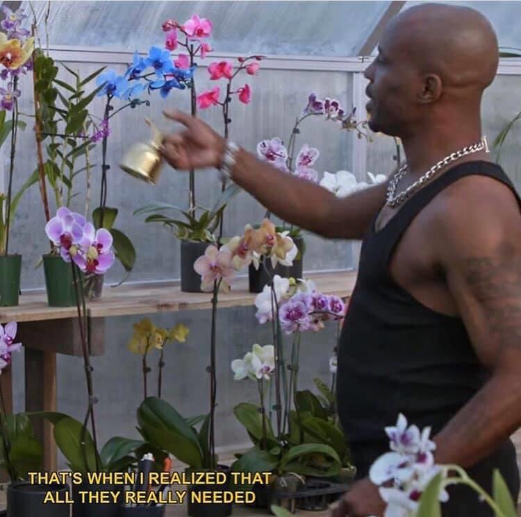 OnlyHipHopFacts's tweet photo. DMX caring for his orchids is just what we need in these troubling times. https://t.co/3uRkY6KnKO