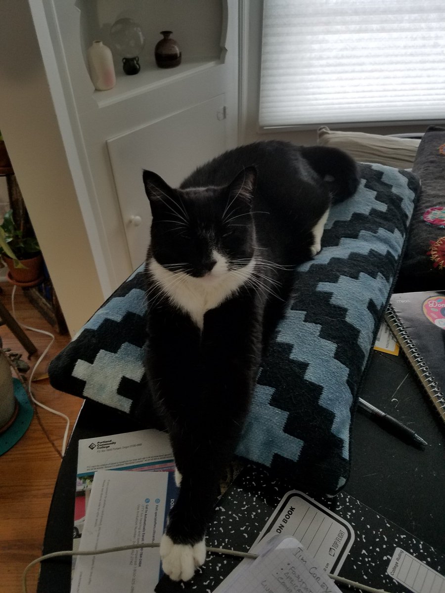 Guillermo being all sleepy &amp; pretty . . .