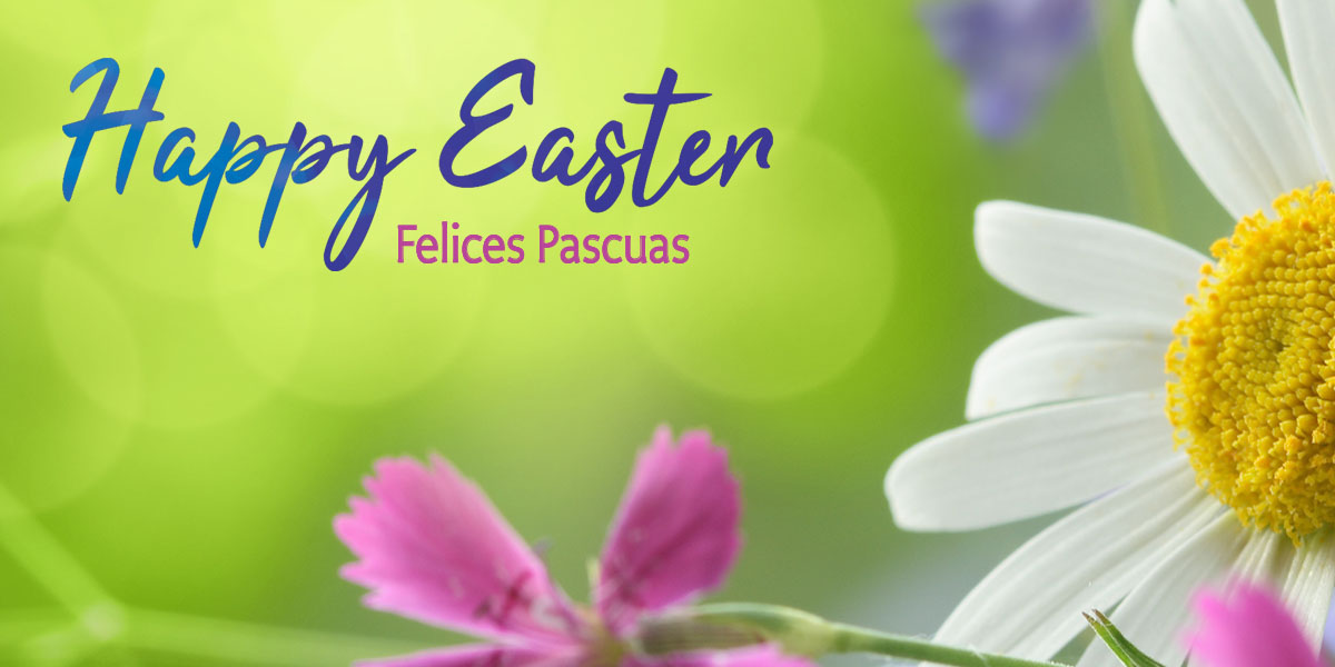 Have a beautiful and safe Sunday! #HappyEaster to all.