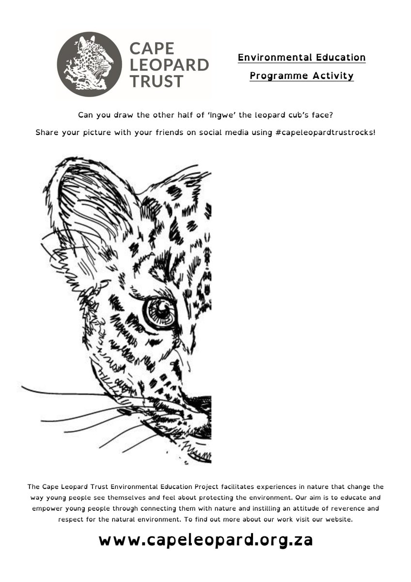 CapeLeopardTrst's tweet photo. #TeachingTuesday
The @Cape_Leopard #EnviroEdu team is missing all the Leopard Kidz out there!! See our cool lockdown activity to spark some creativity here https://t.co/qUCc4S3eAz
#CapeLeopardTrustRocks https://t.co/eJJ2B5RbST