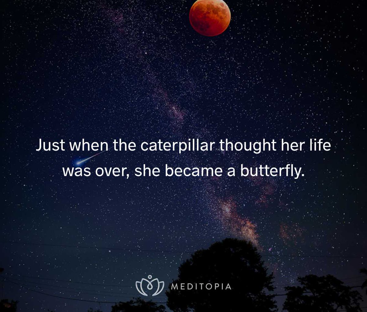 InternalEye (@internaleyem) on Twitter photo 