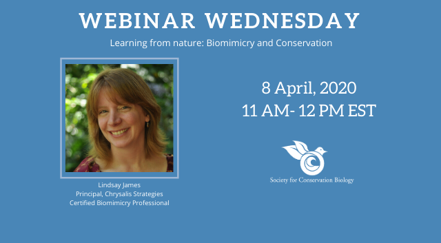 BiomimicryInst's tweet photo. Lindsay James is a sustainability expert, specializing in #biomimicry, + faculty member at the Arizona State University’s Biomimicry Center. She works with The Biomimicry Institute coaching biomimetic start-ups. Join her this Wednesday for an intro to biomimicry webinar. https://t.co/ZU3HtueTOS