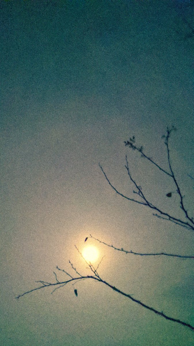 ArinMandal's tweet image. Pink Moon 🌒
#ShotOnNokia #CreatingAtHome #QuarantineDays #photooftheday
@Lightroom @NokiamobileIN @NokiaMobile @nokia @Sahabaz_Ahammed