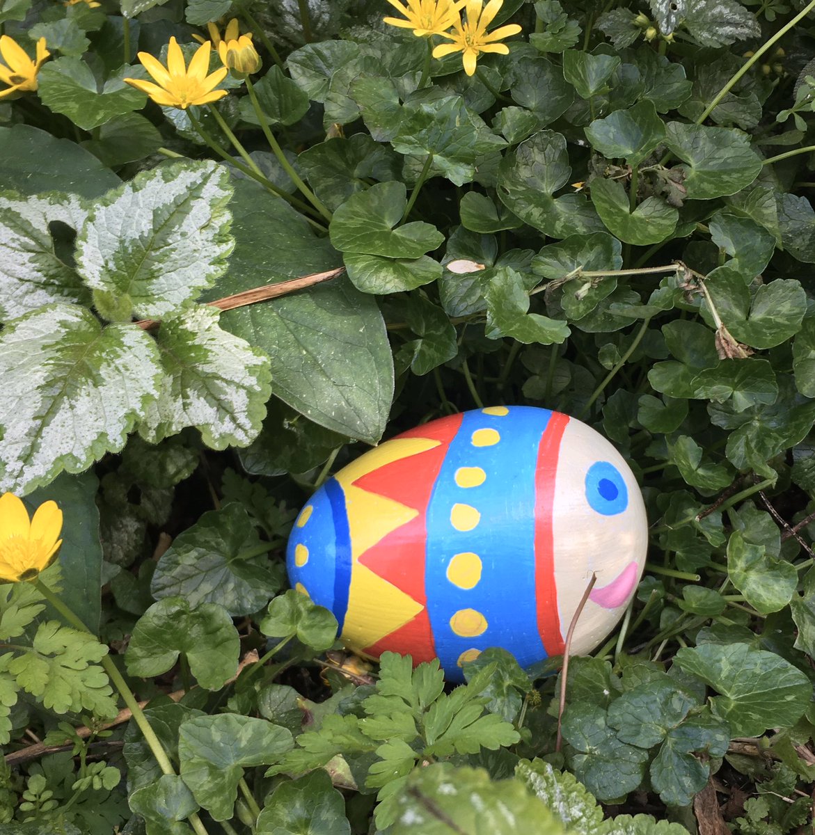 llanganprimary's tweet photo. So Llangan pebble fish has a name. Selected from a hat draw. My name is Bobby. Today I’ve been looking at the wild flowers. Can you name them #outdoorlearning #calm #llanganprimary #schoolstogether https://t.co/IXQojhyVOd