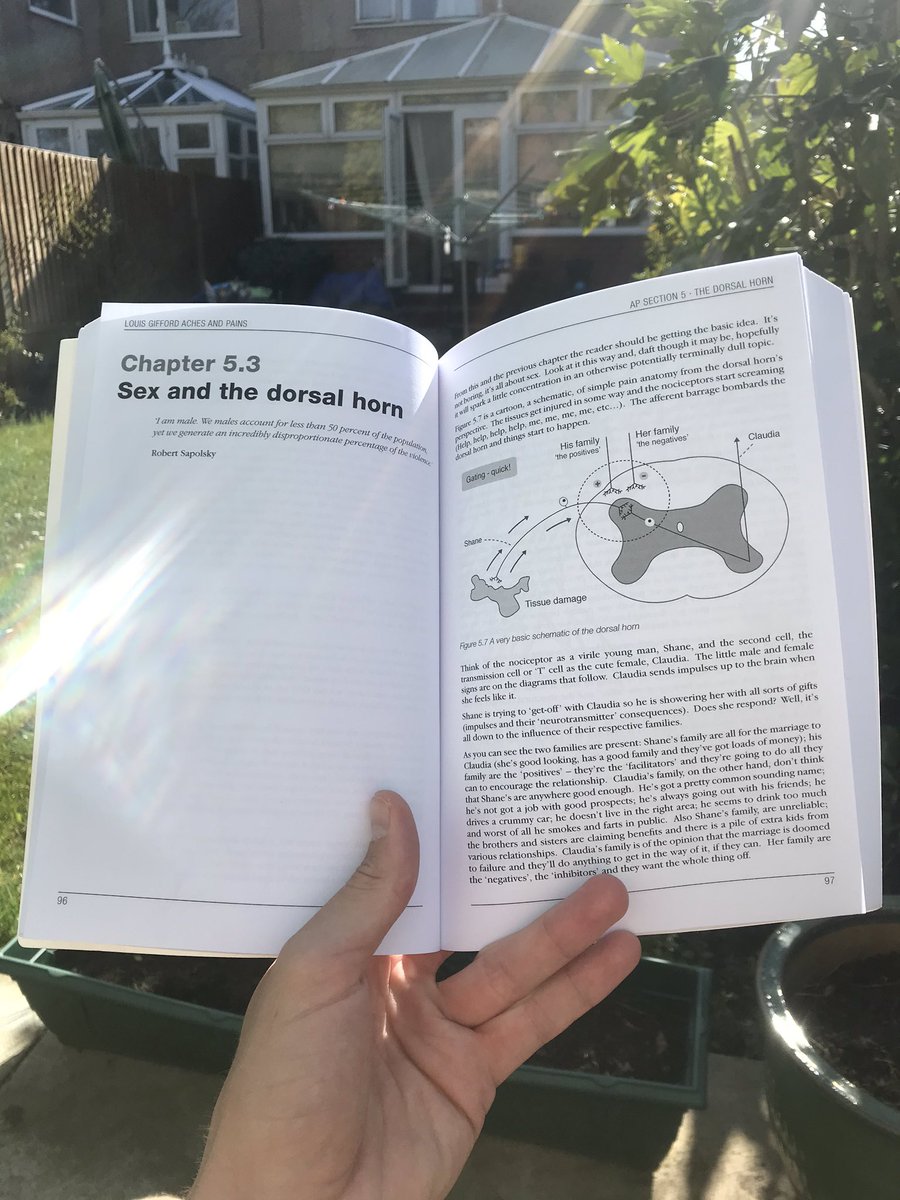 Any MSK physios looking to scrub up on pain science while you have the time - this chapter in ‘Aches and Pains’ by Louis Gifford is not only hilarious but has lead to several ‘Ah-Ha’ moments! #StayAtHomeSaveLives