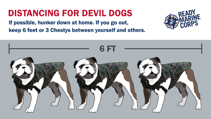 ReadyUSMC's tweet photo. Devil Dogs, you don’t have to sit but you should stay – at home that is! If you go out, keep 6 feet or 3 @USMC Chestys between you and anyone else to slow the spread of #COVID19. #SocialDistancing H/T @CityOfBoston https://t.co/SYGwrs32XW