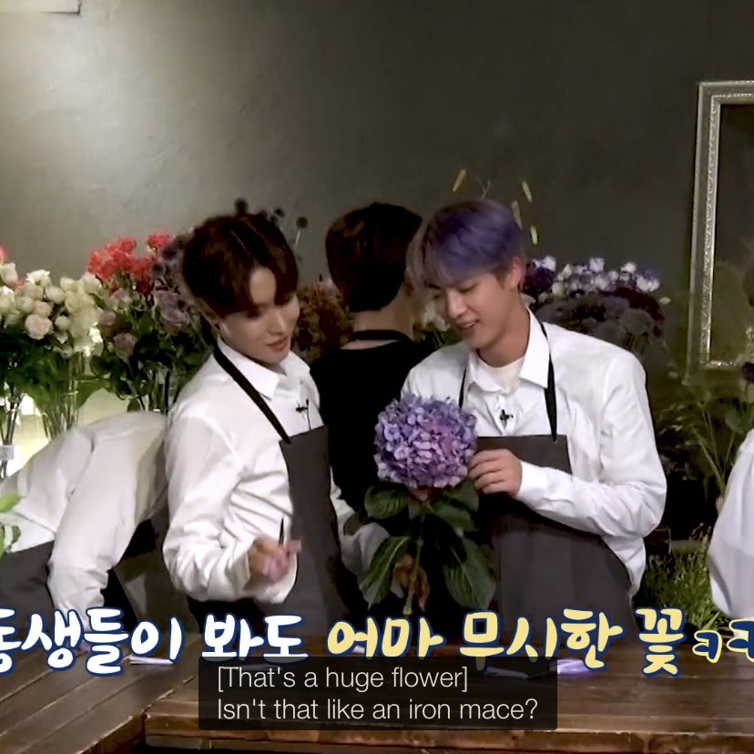After gazing in awe at The Florist’s boutonniere, Bangtan need to pick out their own flowers. So Seokjin is like “I will use this hydrangea, it looks like a Medieval weapon, I’m into that.”