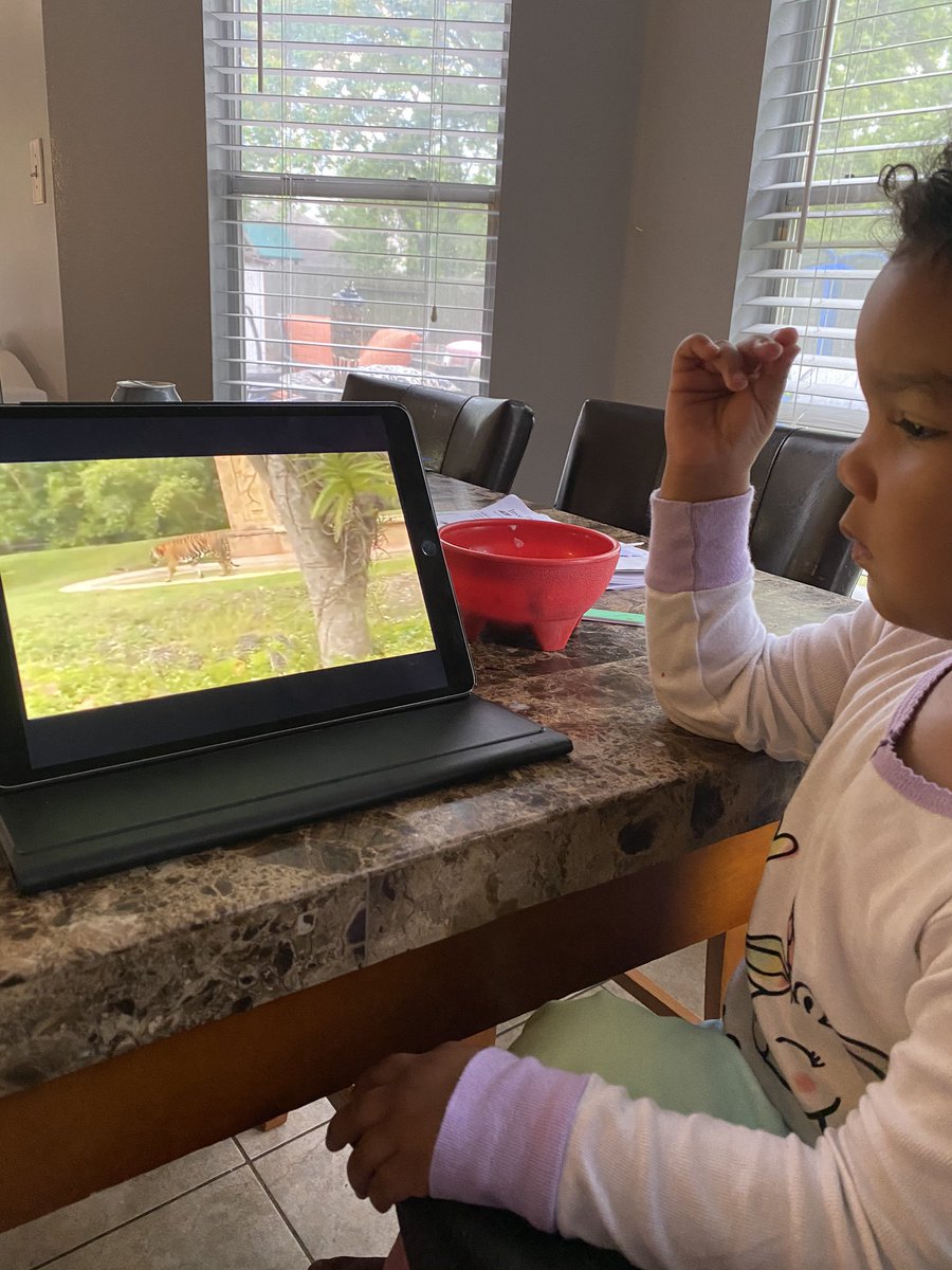 Mrs_Stevenson23's tweet photo. We took a trip around the zoo this morning while eating breakfast 🥳😍 #Zooweek #learningaboutanimals #makinglearningfun #ELC1 #AdaleighGrace https://t.co/ojqLFizAda