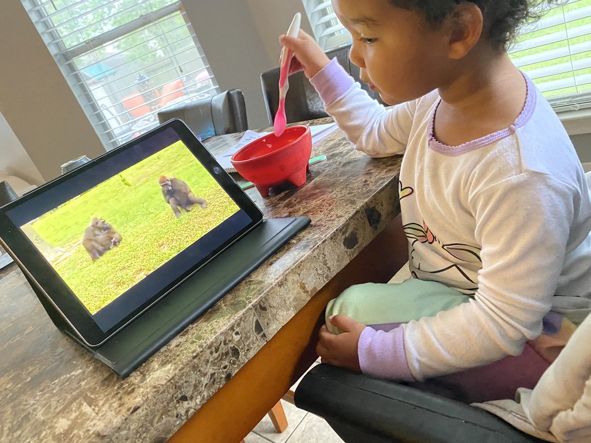Mrs_Stevenson23's tweet photo. We took a trip around the zoo this morning while eating breakfast 🥳😍 #Zooweek #learningaboutanimals #makinglearningfun #ELC1 #AdaleighGrace https://t.co/ojqLFizAda