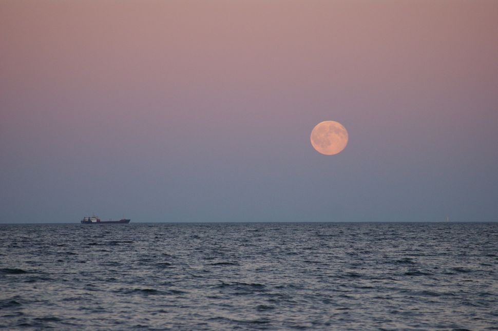 April Full Moon 2020: 'Super Pink Moon,' the biggest of the year, rises Tuesday @ 10:30 PM EST #fullmoon