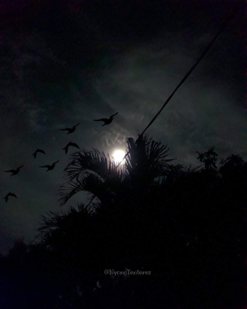 nyongtenteres's tweet photo. Di bulan yang kau tatap ada rindu yang ku titip.
#quotessampah #bulan #malam
#cerah #samsung #J7prime📸 https://t.co/sIbMPYFoUf