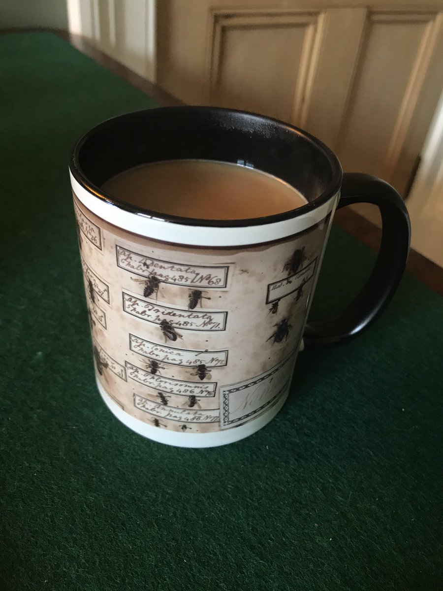 anatifera's tweet photo. @Met_Sci The mug accompanying me for the final discussion is courtesy of the @hunterian. Thanks to all speakers and organisers for some fantastic papers. A privilege to be able to join online, especially as I would not have been able to attend the conference in person. #scicity https://t.co/4RmcsPqtXH