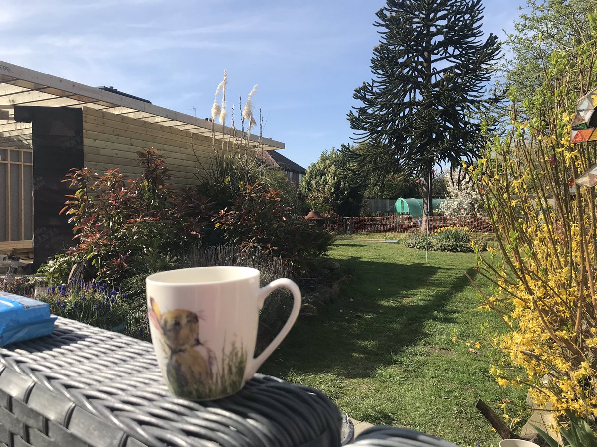 Dawnknowles81's tweet image. Chill in The garden with my girl@b4 shift 🐶☀️❤️ #doggydaughter