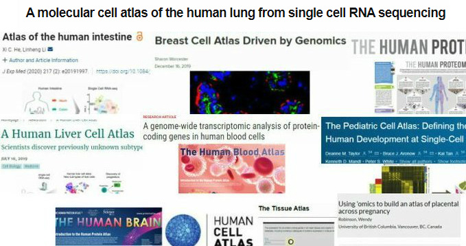 An image I created last year for a tweet showing some of the massive "Cell-Atlas" initiatives, either completed or underway...*Today, the "Lung Cell Atlas" was added (prior tweet)  #iot  #linux  #bigdata  #scicomm  #openscience  #genomics  #raredisease