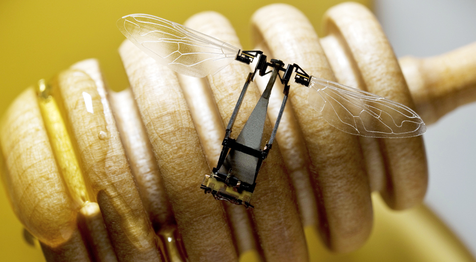 WorldKnownledge's tweet photo. Depuis 2009, des chercheurs en robotique de l'université Harvard travaillent sur un projet des plus ambitieux : RoboBee. Il s'agit de robots de petites tailles reprenants les caractéristiques des abeilles, le but étant à terme : la pollinisation artificielle ! Mais les RoboBees https://t.co/UCEgLIR0x6