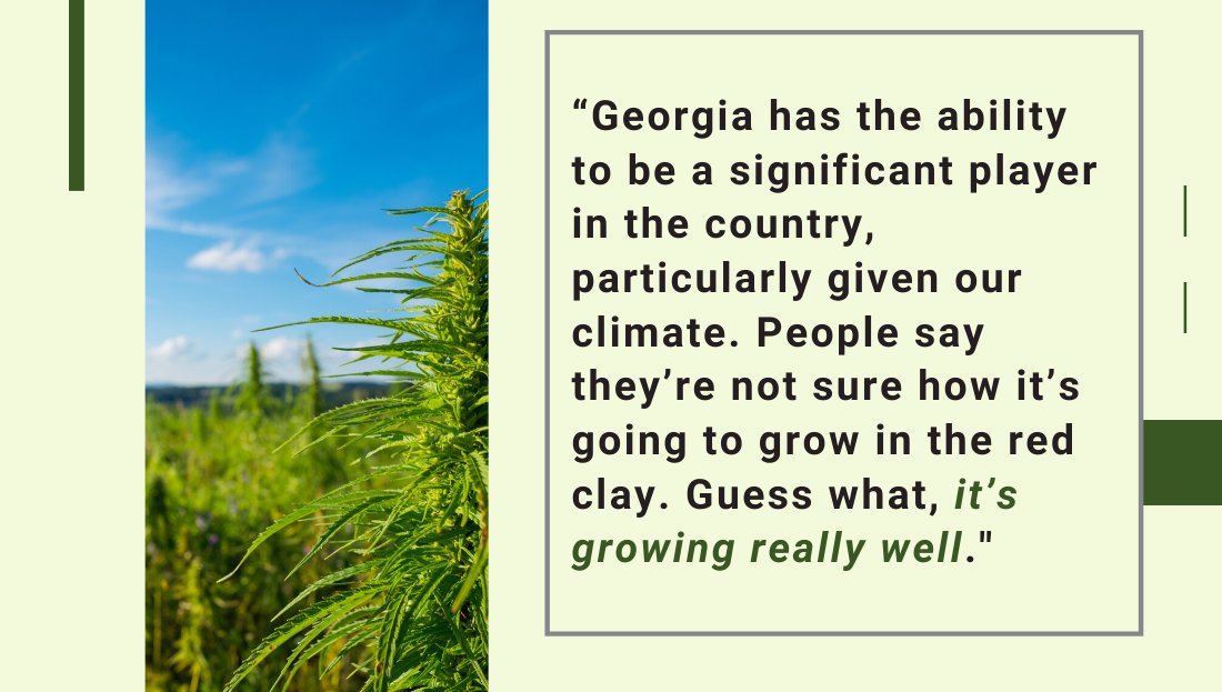 Harvest_Connect's tweet photo. #ICYMI: News from @markniesse &amp; @ajc on the potential of this summer's first #hemp crop in Georgia. https://t.co/ZkOpcLVzlI https://t.co/WWYbWkSOO0