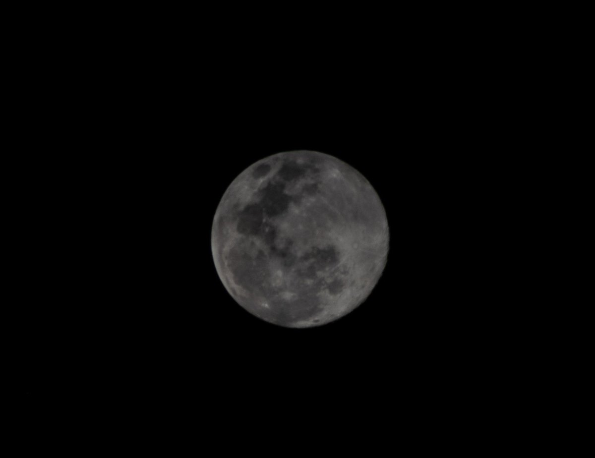 Colarinakevin's tweet photo. Brightest #supermoon of 2020
-Using 300mm Lens https://t.co/z74ckIiAZ2