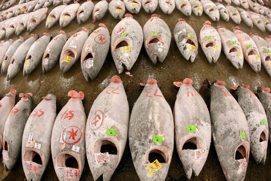 Can we come up with a list of all the impacts that #COVID19 has had on the #aquaculture industry? Good or bad.

I'll start:
Many countries around the world are unable to find distribution channels for their already-harvested #seafood leading to a crash in prices 📉