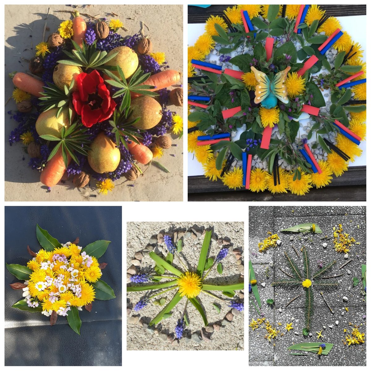 Barbant Marine tweet media