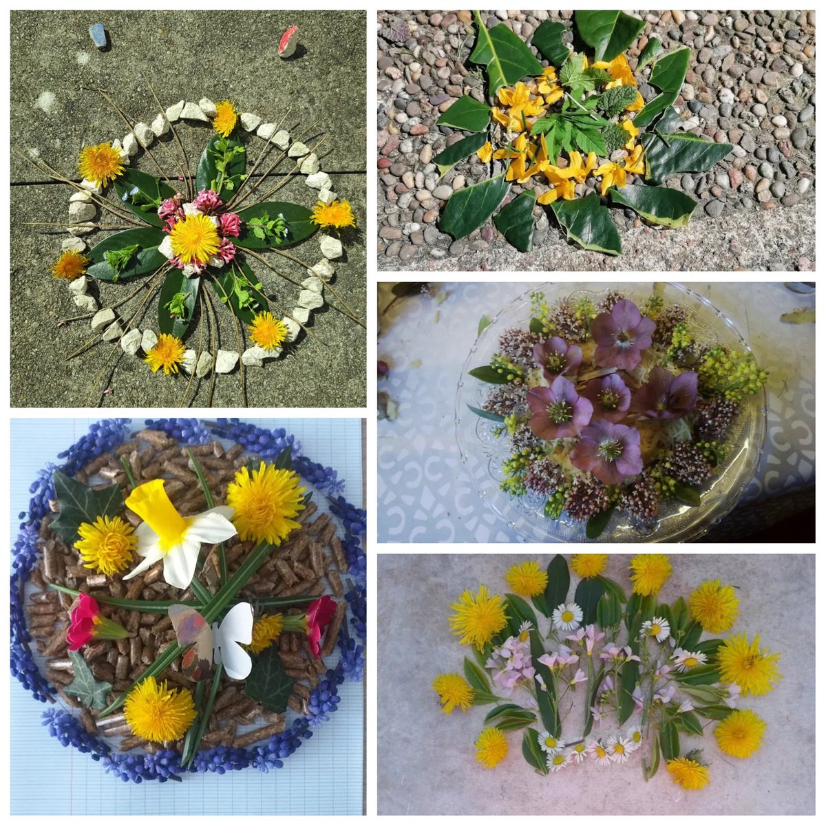 Des fleurs, des légumes, des fruits, des feuilles ... De jolies couleurs ! Défi du jour des élèves de @cm1cm2stSauveur Bravo !🌺🌻🌼