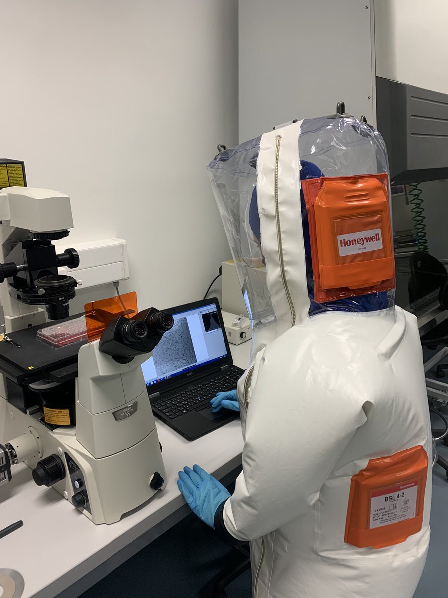 GaborKemenesi's tweet photo. Two-front war with #SARSCoV2 Diagnostics and #research, this is the life of a #virologist these days...presumably everywhere around the 🌎 #coronavirus #pandemic #COVID19 #Hungary https://t.co/CTxuN6LL5e