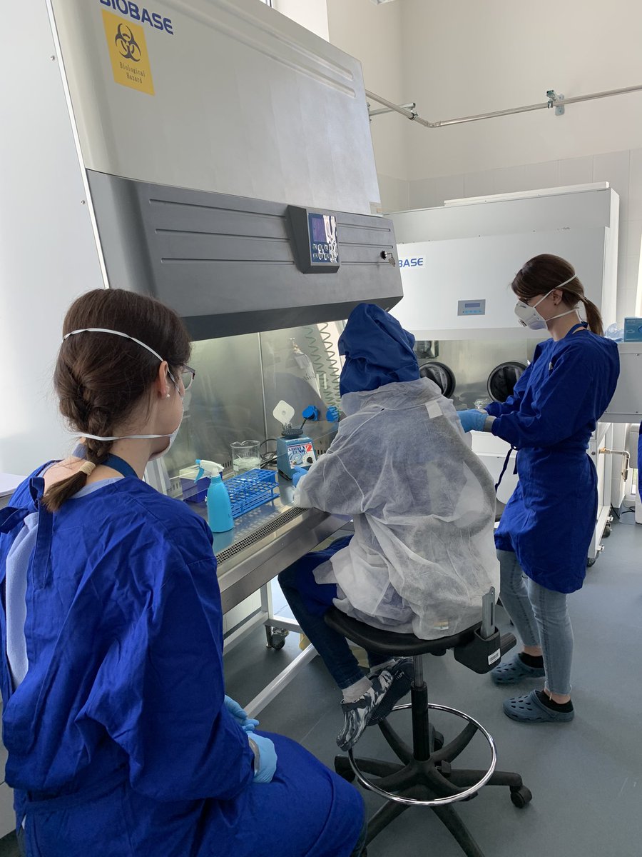 GaborKemenesi's tweet photo. Two-front war with #SARSCoV2 Diagnostics and #research, this is the life of a #virologist these days...presumably everywhere around the 🌎 #coronavirus #pandemic #COVID19 #Hungary https://t.co/CTxuN6LL5e