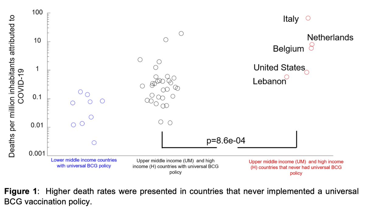 “We found that countries without universal policies of BCG vaccination (Italy, Nederland, USA) have been more severely affected compared to countries with universal and long-standing BCG policies.”  https://www.medrxiv.org/content/10.1101/2020.03.24.20042937v1.full.pdf+html