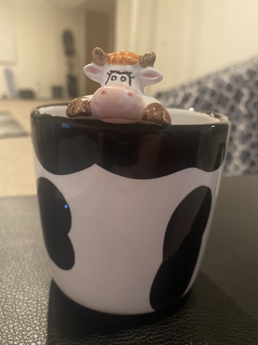 Thinking about everyone in Wisconsin today. Feeling scared, and angry. Please please PLEASE everyone be safe. Having a parent and brother running and working at one election site and another parent working in the hospital, I’m honestly terrified. Stay safe ppl and wash ur hands