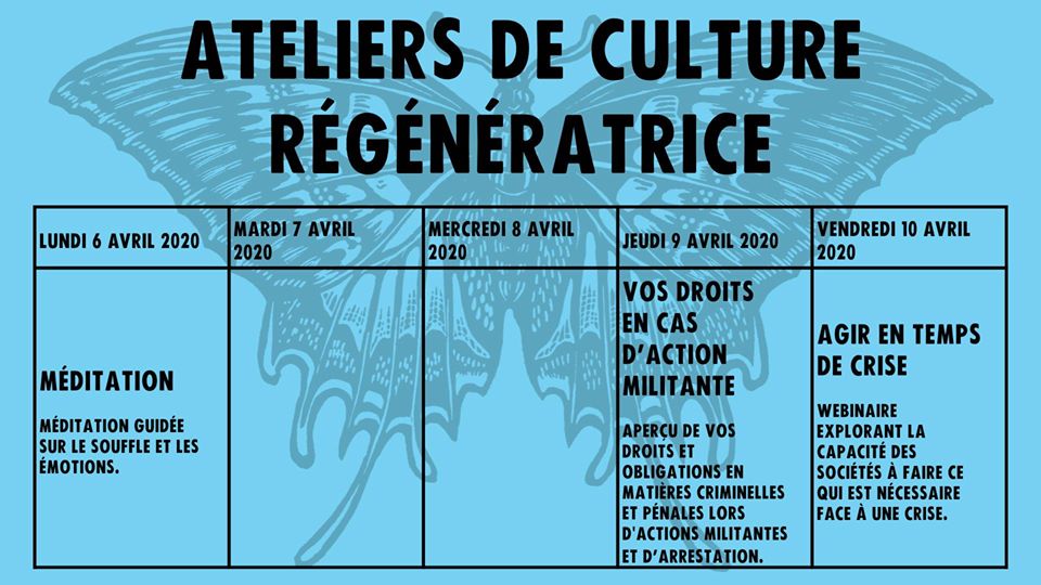Voici l’horaire des activités qui seront en direct sur notre page FB cette semaine. Les ateliers prendront place chaque matin à 11h.⭐️ Si vous souhaitez proposer un atelier, nous vous invitons à nous écrire, ce sera plaisir de collaborer avec vous! facebook.com/XR.Quebec/