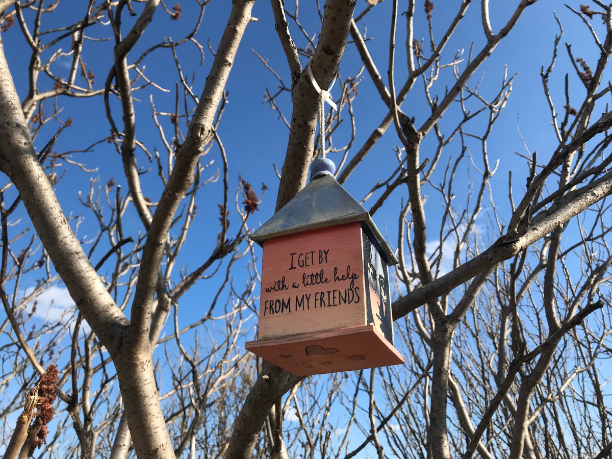 Lorr333's tweet image. @LGrahamCTV “I get by with a little help from my friends” ...so true! This little birdhouse was such an uplifting sight to see on my walk in #Lasalle . Not to mention the beautiful blue sky in the background. #cellpic