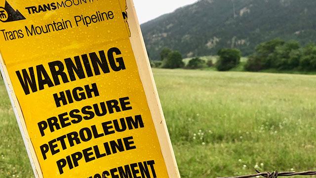 APTNNews's tweet photo. Group of First Nations want to launch fight of Trans Mountain pipeline approval
https://t.co/9z1ZX7ykWM https://t.co/6Q8zJVTMOz