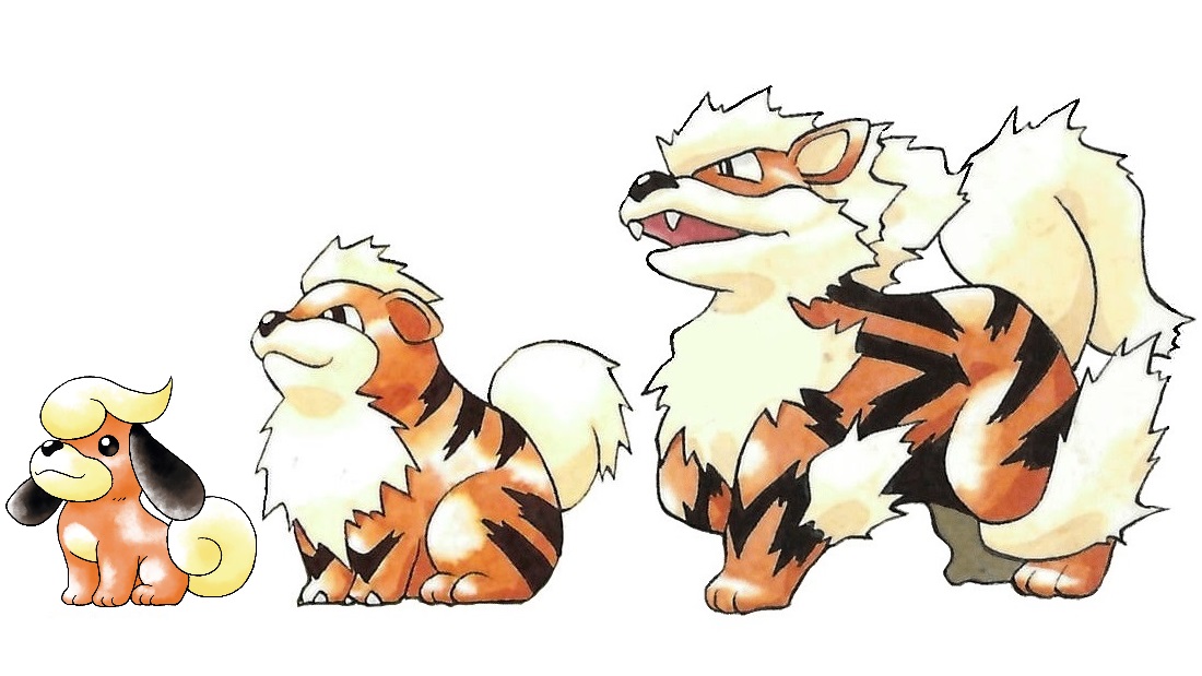 ...Pudi was originally planned as the baby stage of the Growlithe family. 