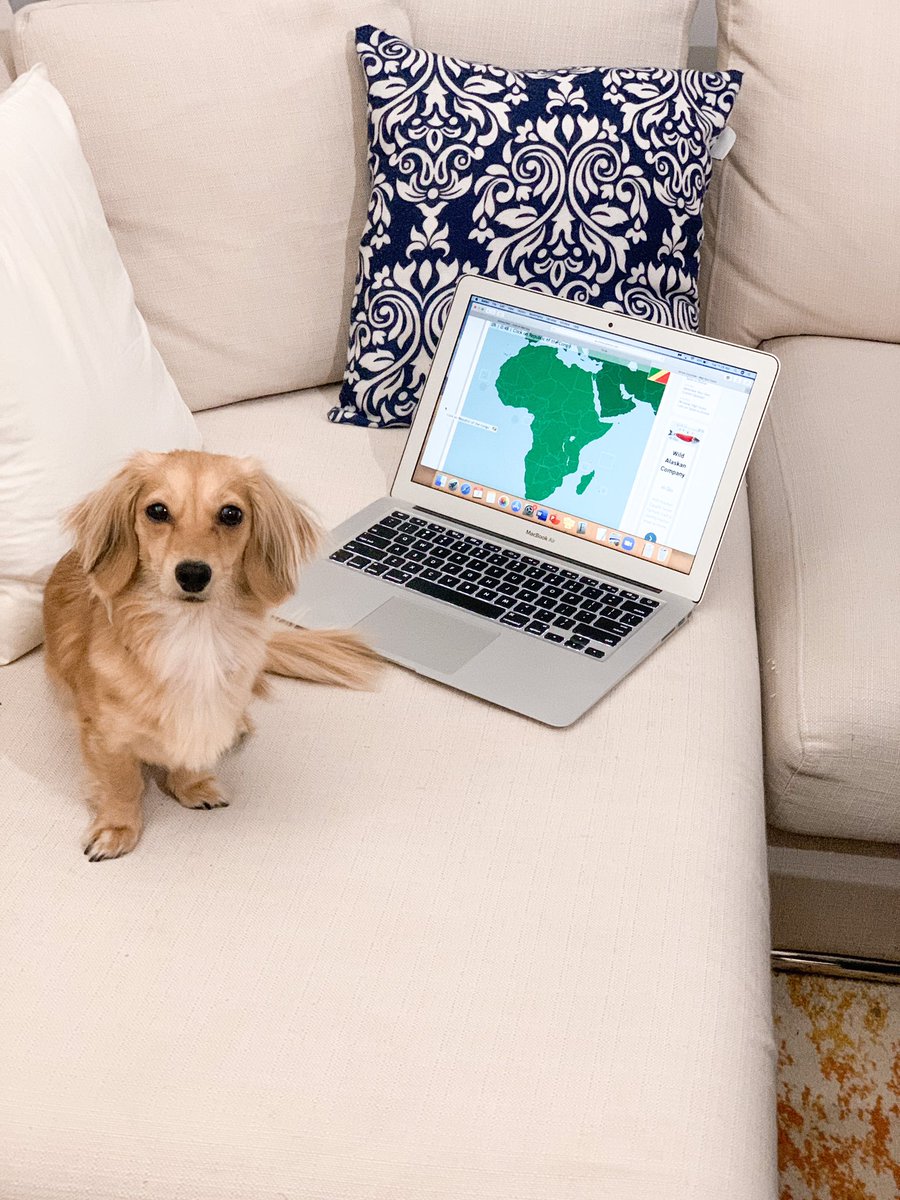 Today’s work is posted on Google Classroom. Review the countries of Africa using Online Seterra. Then, record your times &amp; scores on Google Classroom. Still waiting on some to complete yesterday’s assignment. Remember, if 80% complete the work this week I get a pie to the face!