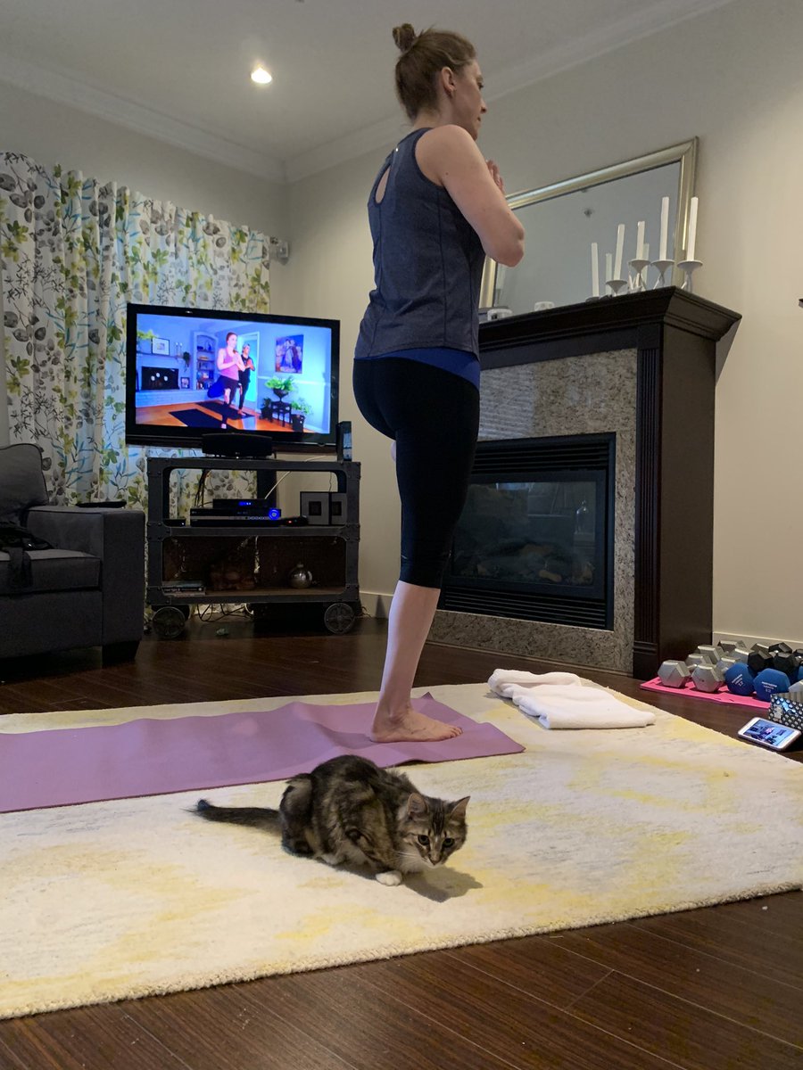 Deeleech's tweet photo. Thank you to @IABCBC @JoseVargasToGo and Yasmine for the morning yoga and the perfect start to the day. Kacey enjoyed it too 😻🙏🙌 #iabcbc #iabc https://t.co/RdEqtTEhfq