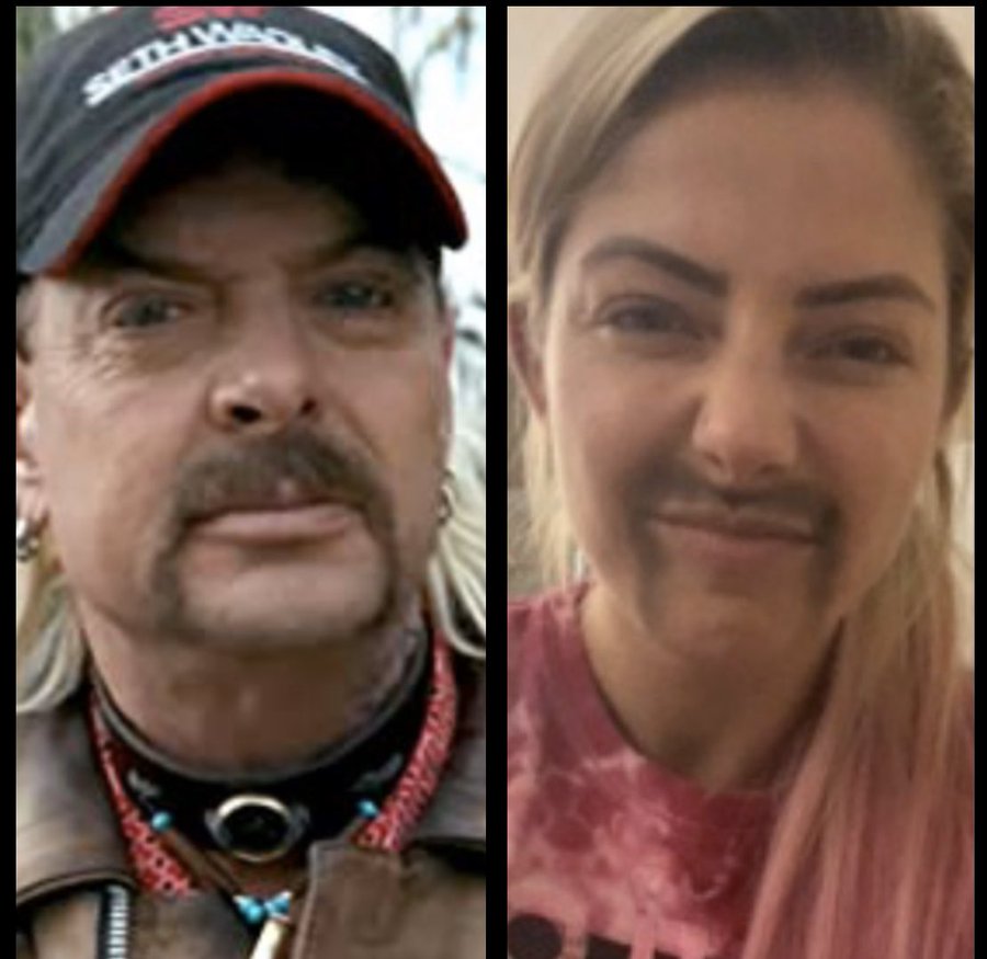 View image on Twitter