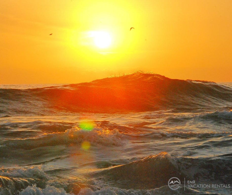 Individually, we are one drop. Together, we are the ocean.🌊
Share some love today everyone!😊