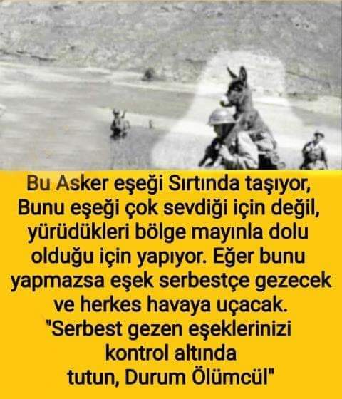 Erkam8282's tweet photo. #EvdeHayatVar #EvdeKalTurkiye #HayatEveSigar #BeratKandili https://t.co/UkTVEAfstN