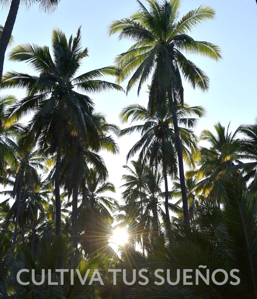 A de Coco Colombia tweet media