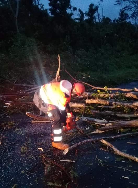 forestry_fiji's tweet photo. At 3am this morning 4 staff from the Ministry of Forestry were clearing fallen trees and debris along the Korovou Highway. Vinaka Ministry of Forestry Korovou DISMAC team.
#togetherwecan#
PhotoCredit: DFO/CE Mr George Vuki. https://t.co/UjJtg746x2