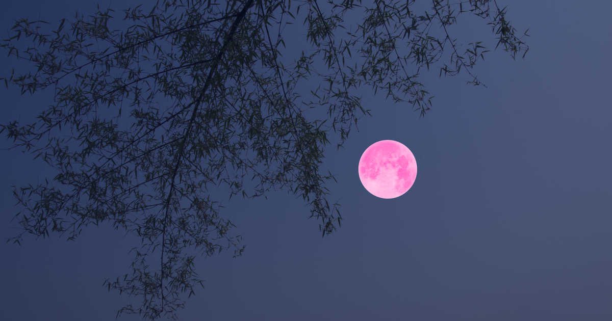 Одинокая луна розовая. Фиолетовая Луна. Сиреневая Луна. Розовая Луна. Лиловая Луна.